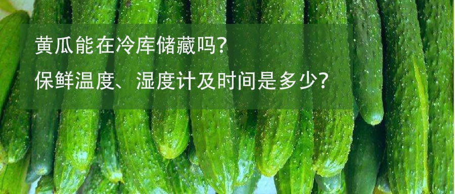 黃瓜保鮮冷庫(kù)保鮮溫度、濕度計(jì)及時(shí)間介紹
