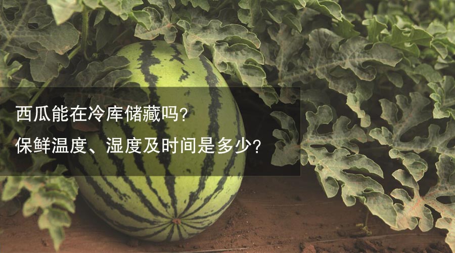 西瓜冷庫(kù)保鮮溫度、濕度及時(shí)間介紹