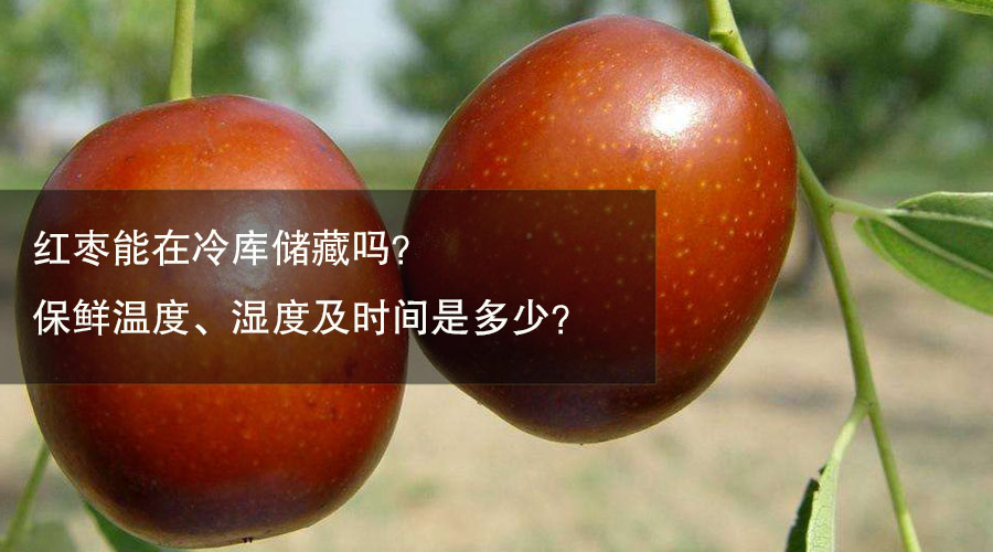 紅棗冷庫(kù)保鮮溫度、濕度及時(shí)間介紹