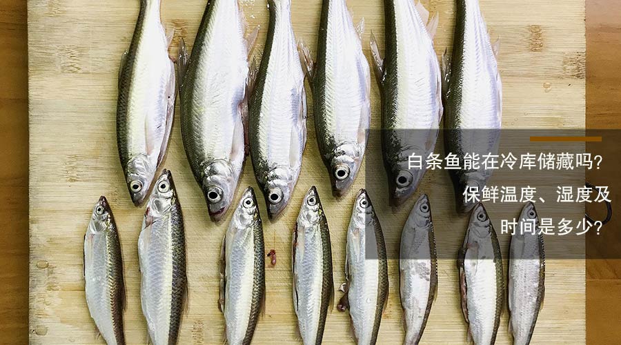 白條魚冷庫儲藏溫度、相對濕度及時(shí)間介紹