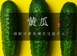 黃瓜保鮮冷庫存儲方法是什么？這樣貯藏不爛！-萬能制冷